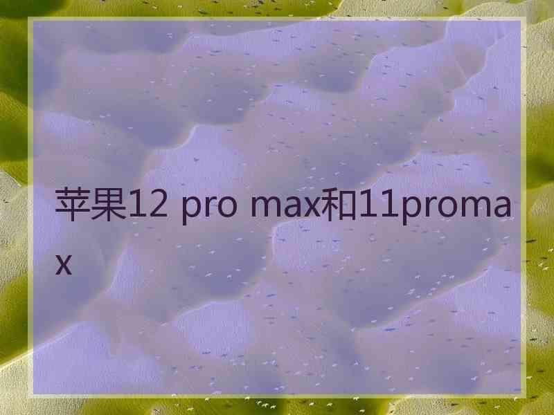 苹果12 pro max和11promax