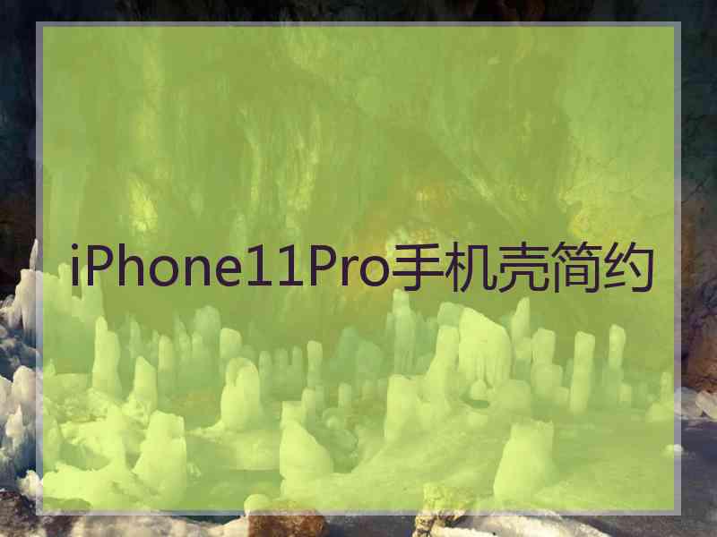 iPhone11Pro手机壳简约