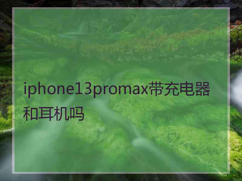 iphone13promax带充电器和耳机吗