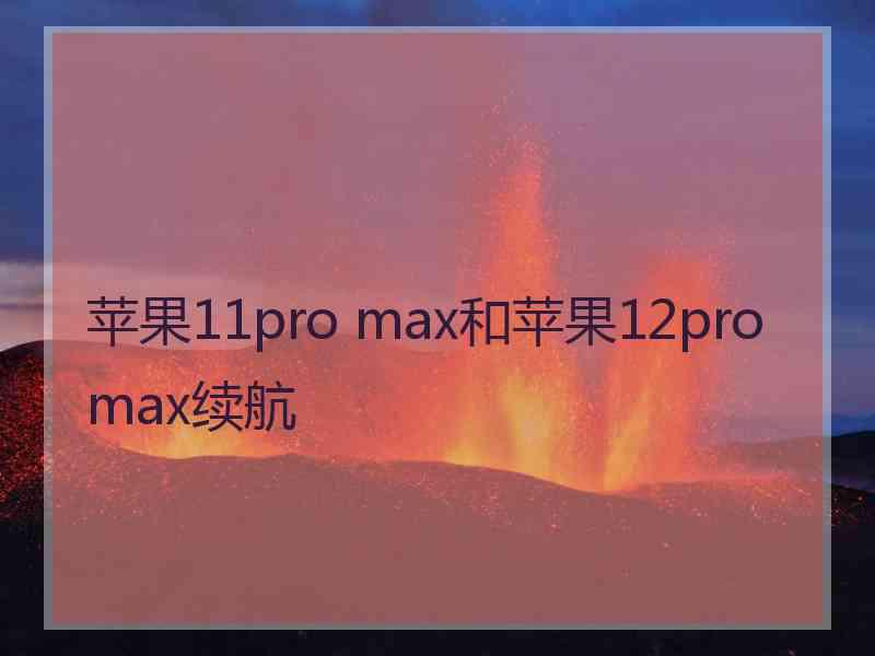 苹果11pro max和苹果12promax续航