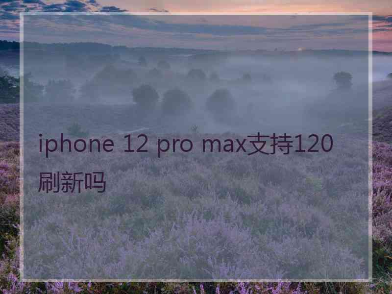 iphone 12 pro max支持120刷新吗