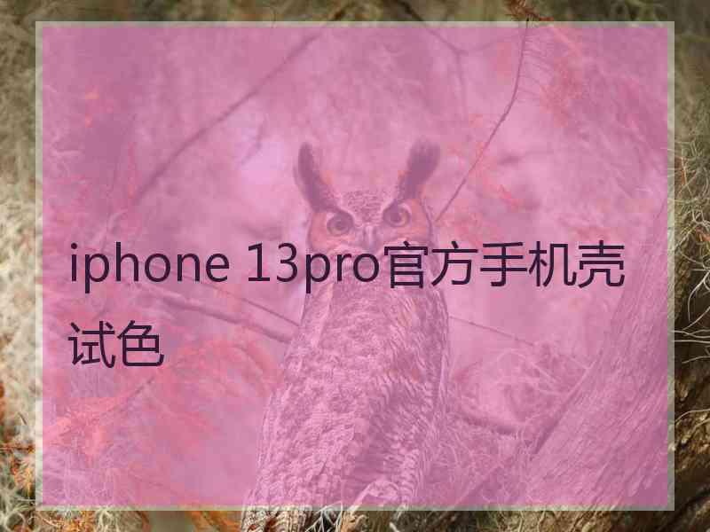 iphone 13pro官方手机壳试色