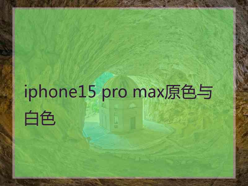 iphone15 pro max原色与白色