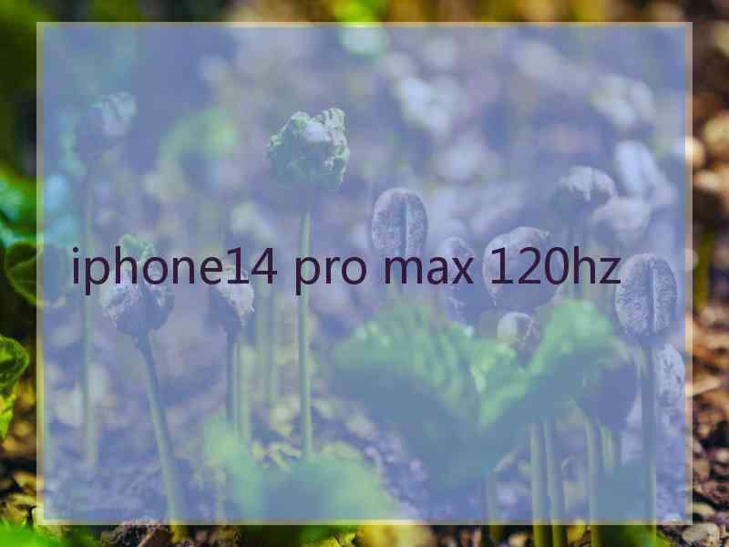 iphone14 pro max 120hz