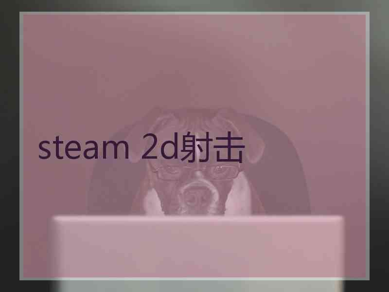 steam 2d射击