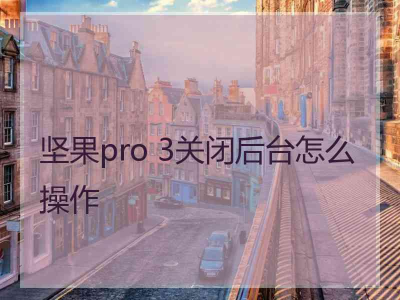 坚果pro 3关闭后台怎么操作