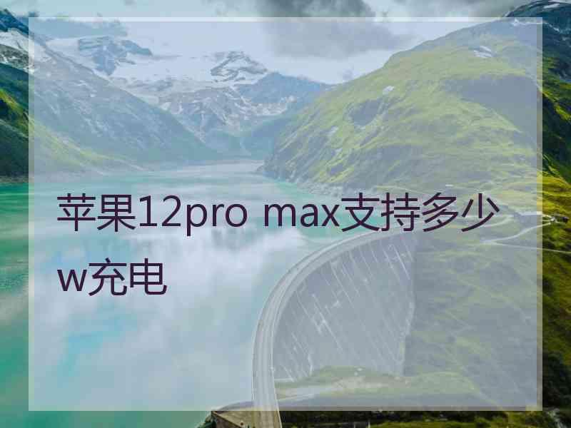 苹果12pro max支持多少w充电