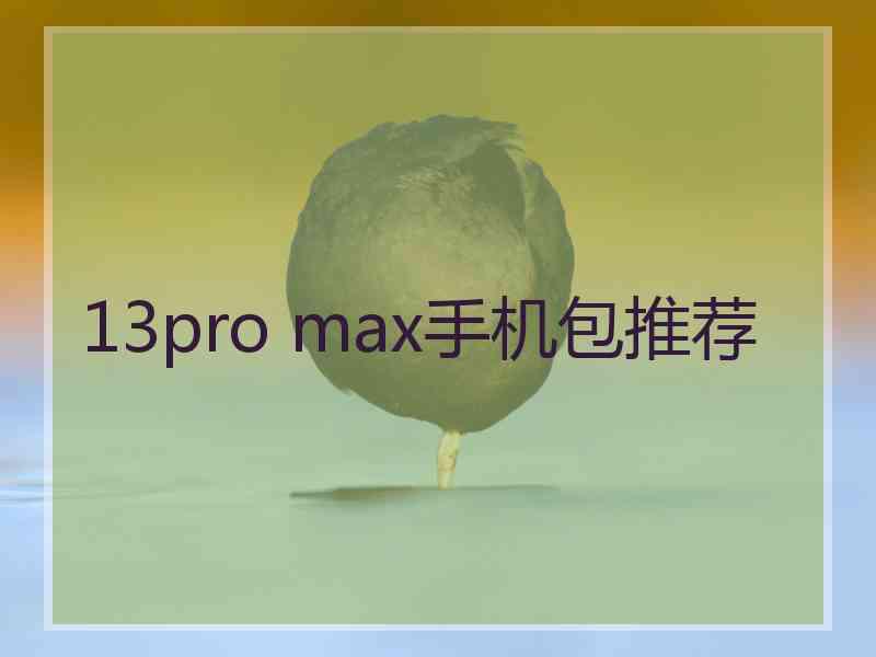 13pro max手机包推荐