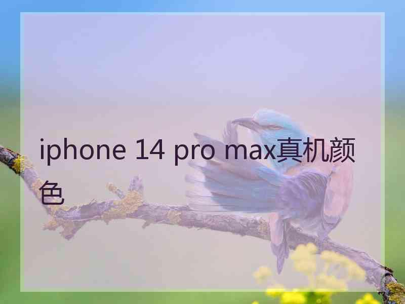 iphone 14 pro max真机颜色