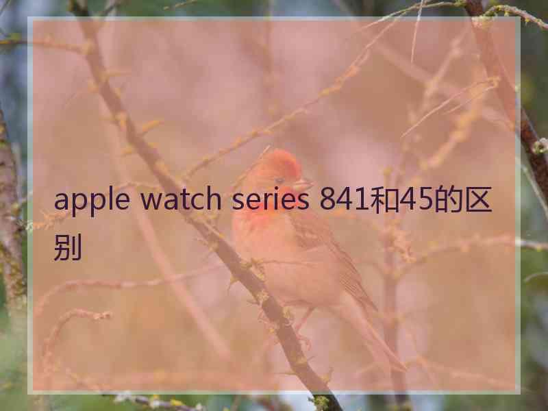 apple watch series 841和45的区别