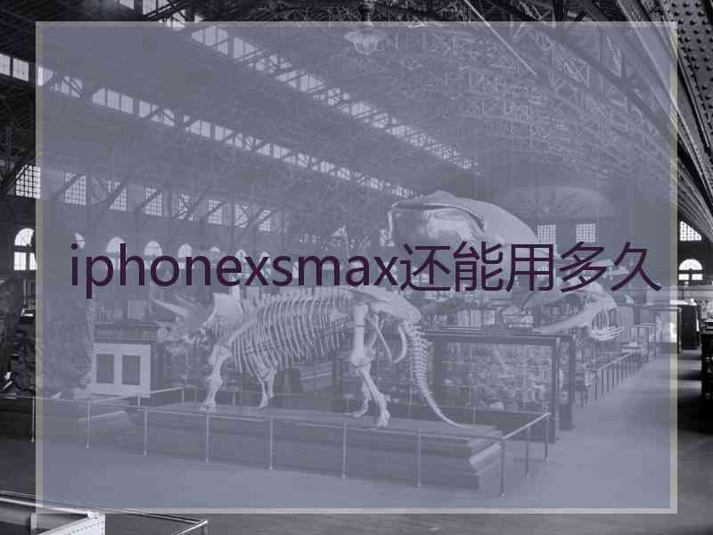 iphonexsmax还能用多久