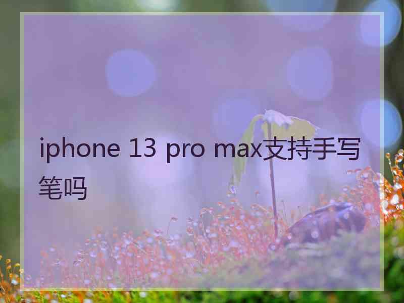 iphone 13 pro max支持手写笔吗