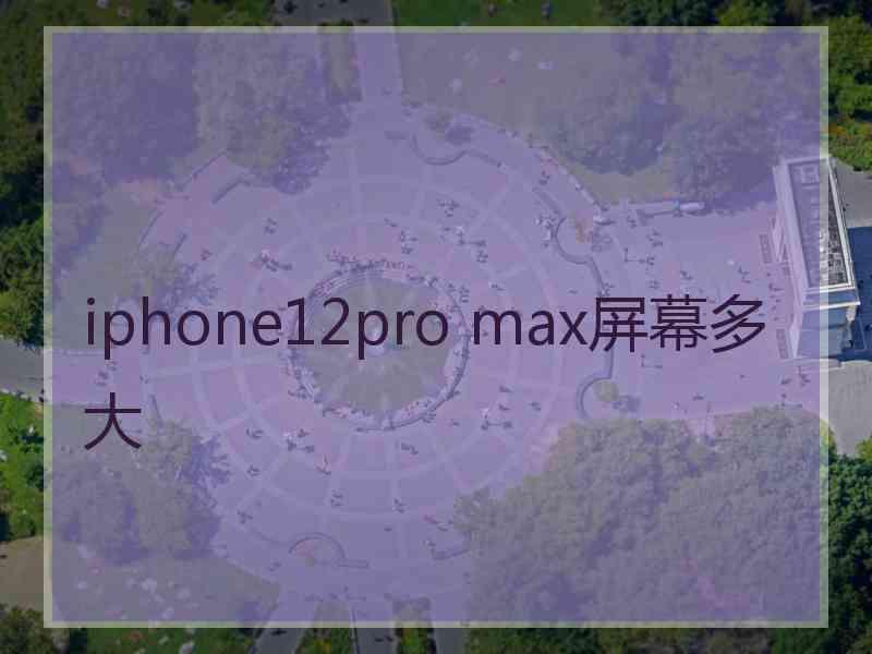 iphone12pro max屏幕多大