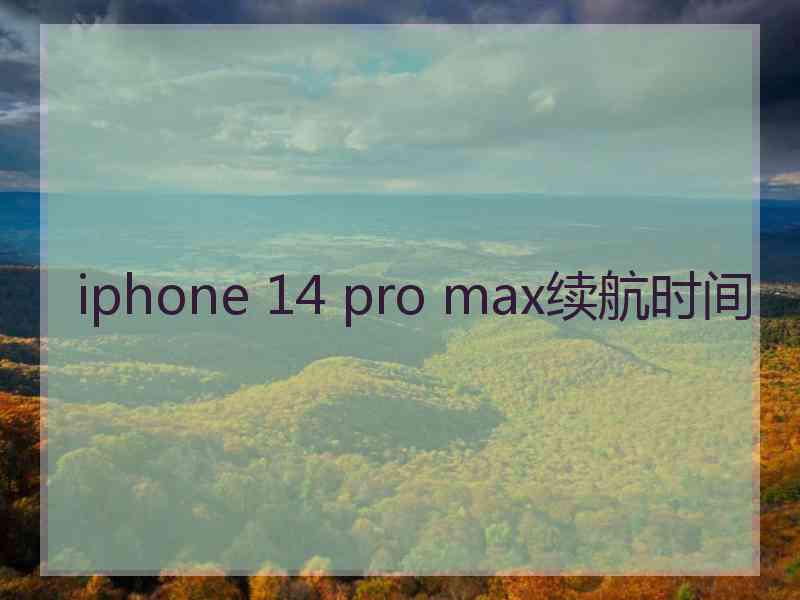 iphone 14 pro max续航时间