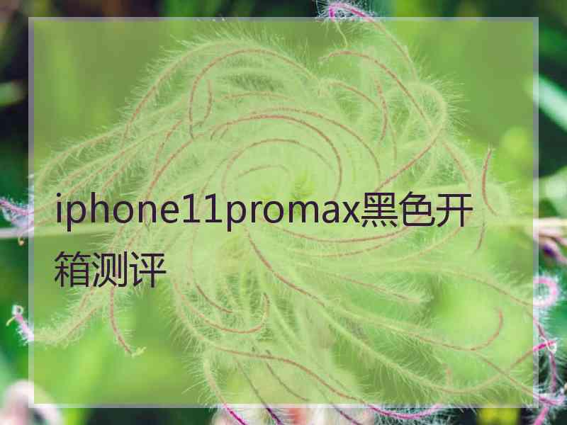 iphone11promax黑色开箱测评