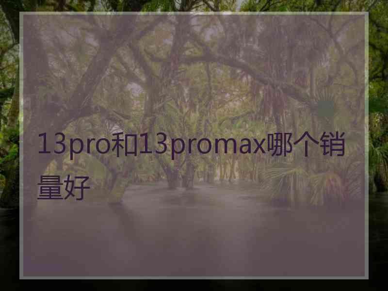 13pro和13promax哪个销量好