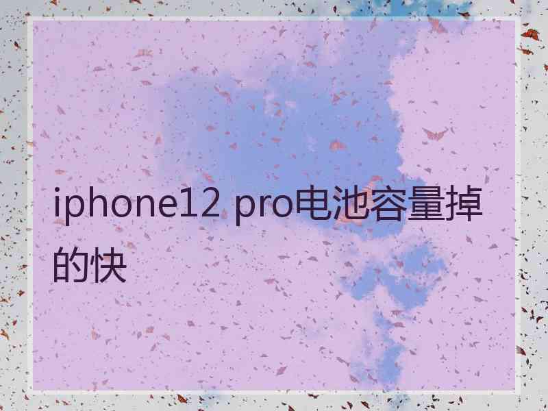 iphone12 pro电池容量掉的快