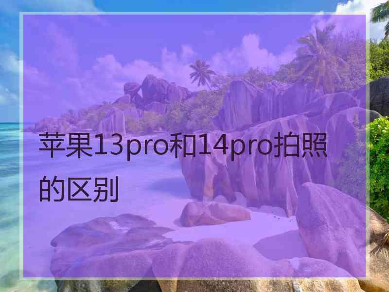 苹果13pro和14pro拍照的区别