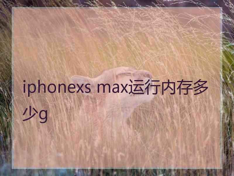 iphonexs max运行内存多少g