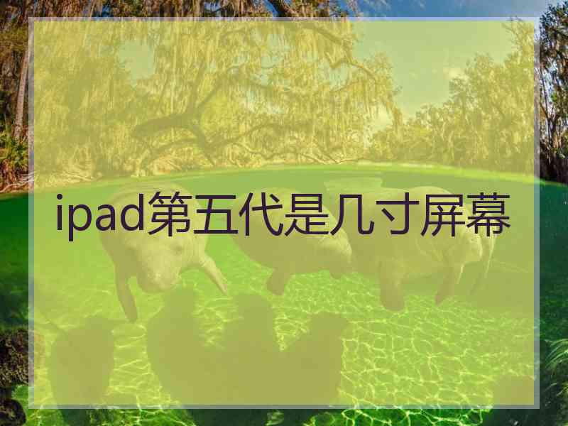 ipad第五代是几寸屏幕