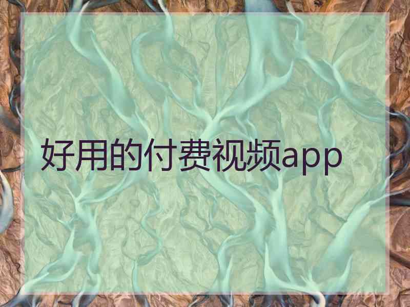 好用的付费视频app