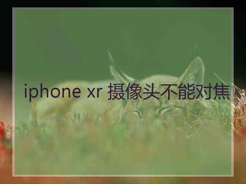 iphone xr 摄像头不能对焦