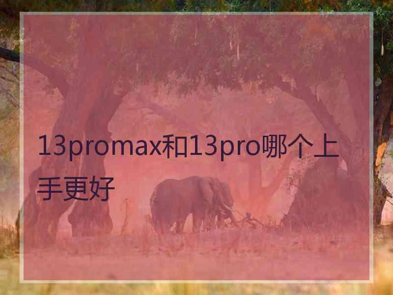 13promax和13pro哪个上手更好