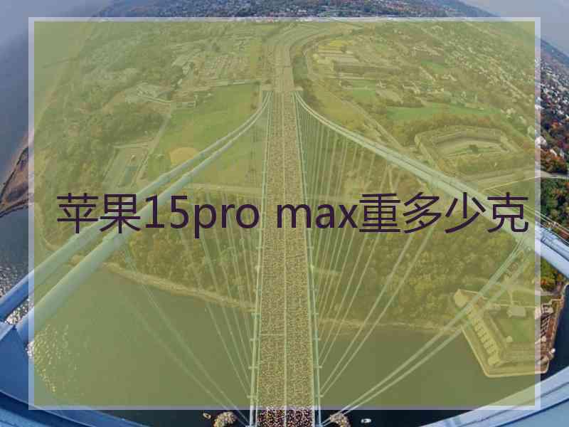 苹果15pro max重多少克