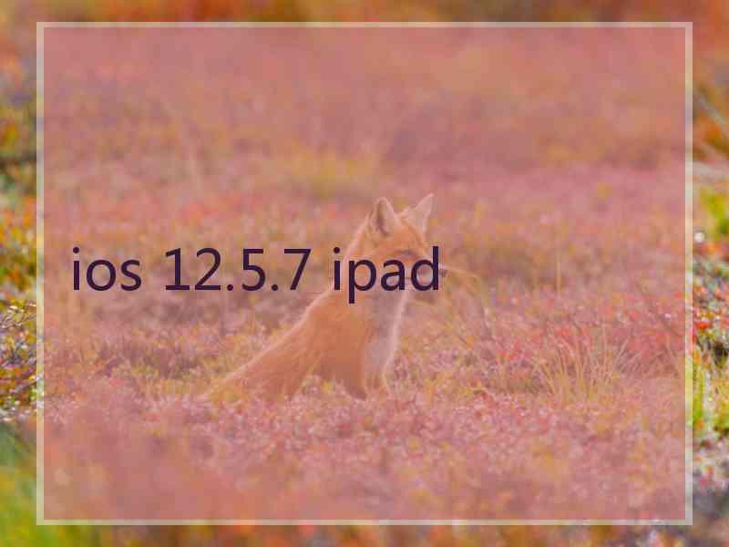 ios 12.5.7 ipad