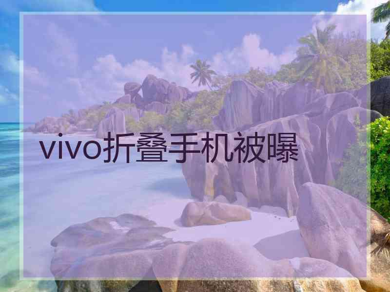 vivo折叠手机被曝