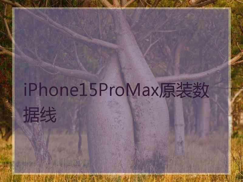 iPhone15ProMax原装数据线