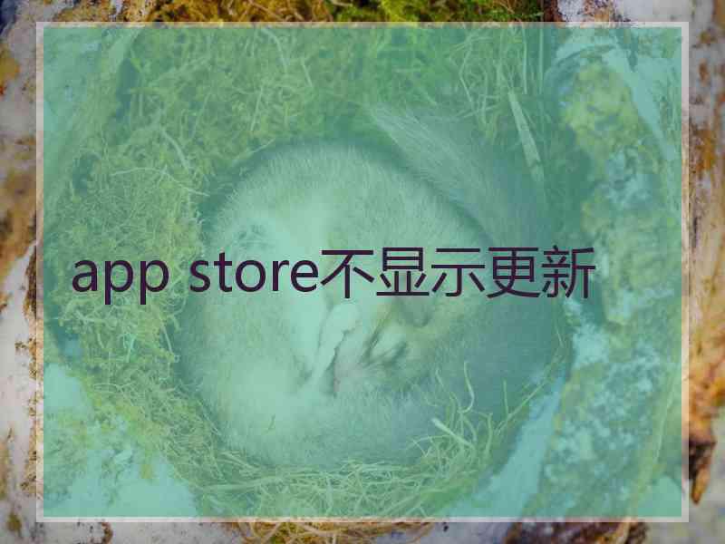 app store不显示更新