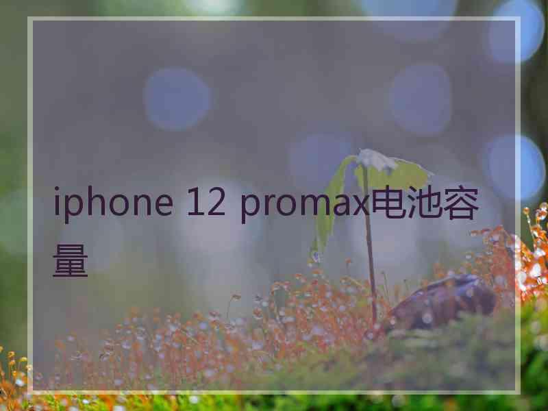 iphone 12 promax电池容量