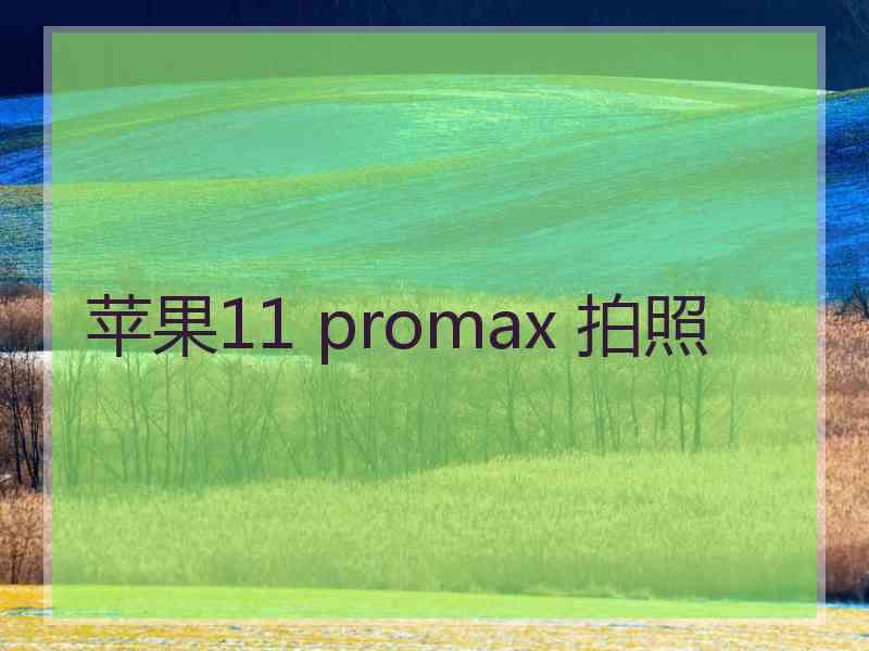 苹果11 promax 拍照