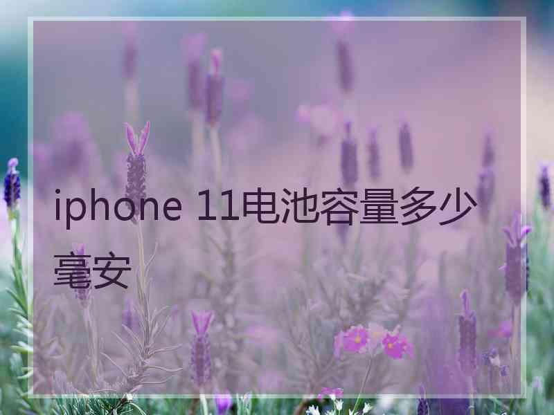 iphone 11电池容量多少毫安