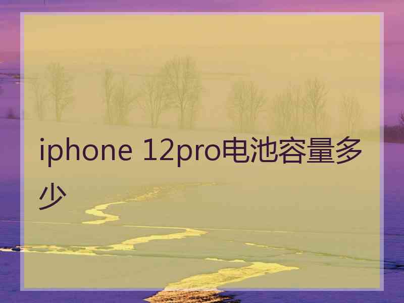 iphone 12pro电池容量多少