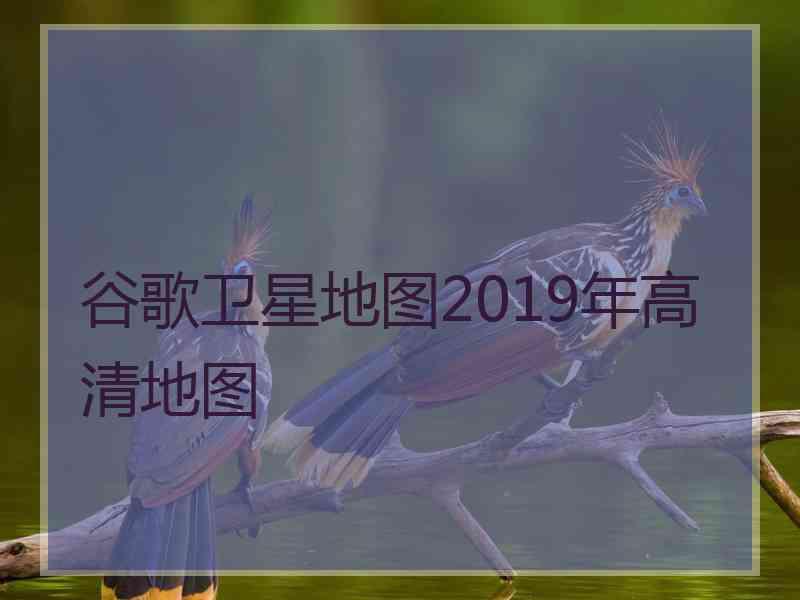 谷歌卫星地图2019年高清地图