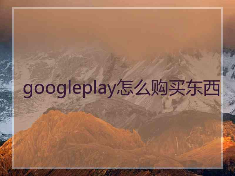 googleplay怎么购买东西