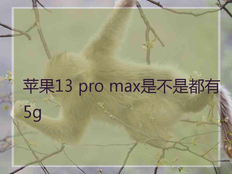 苹果13 pro max是不是都有5g