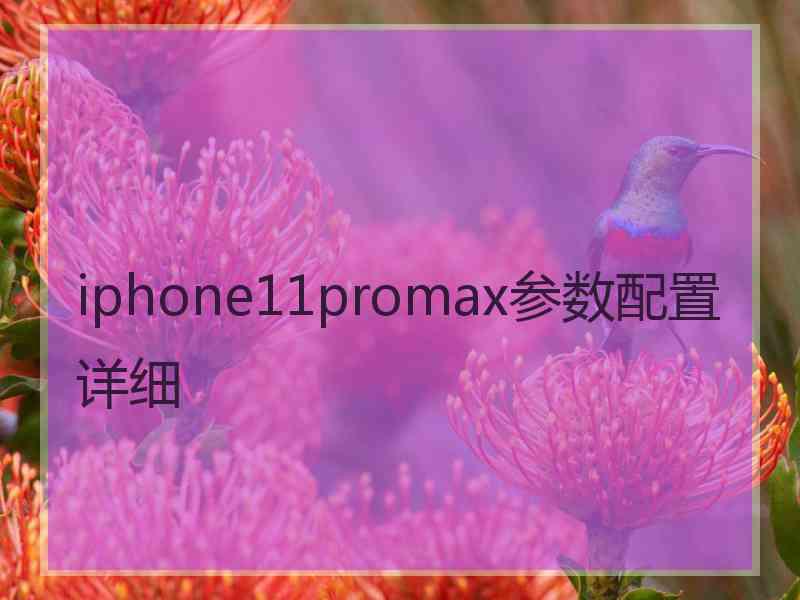 iphone11promax参数配置详细