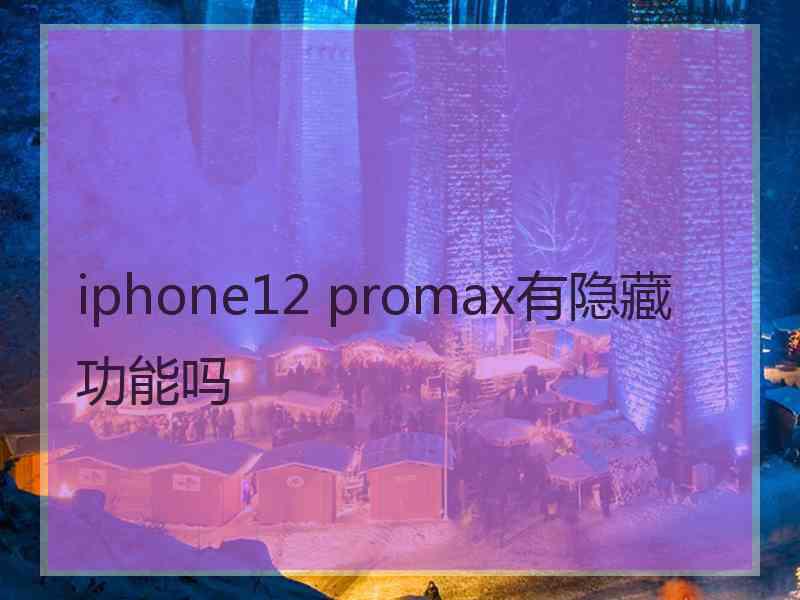 iphone12 promax有隐藏功能吗