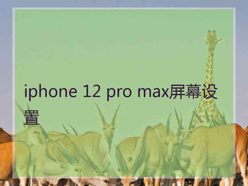 iphone 12 pro max屏幕设置