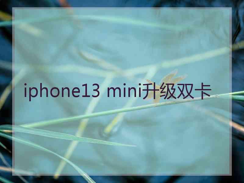 iphone13 mini升级双卡