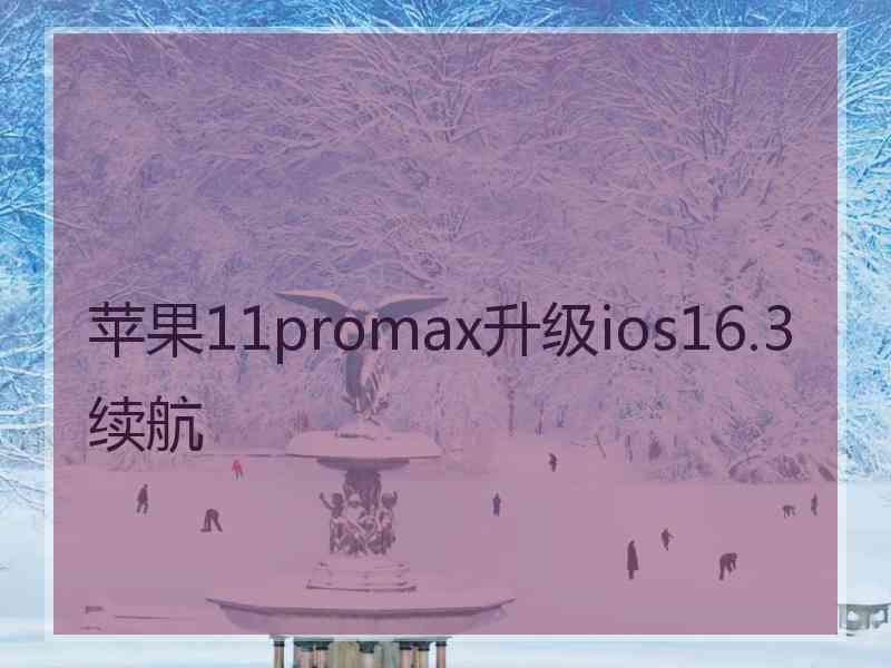 苹果11promax升级ios16.3续航