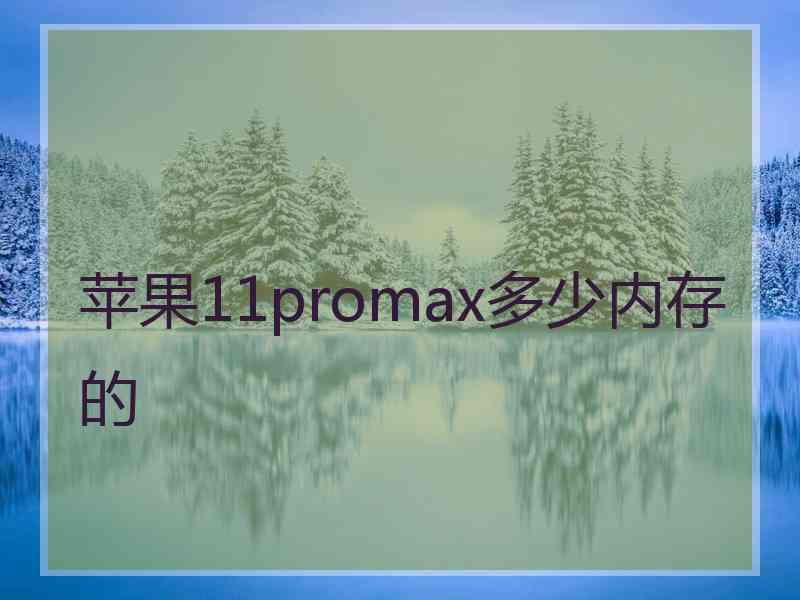 苹果11promax多少内存的