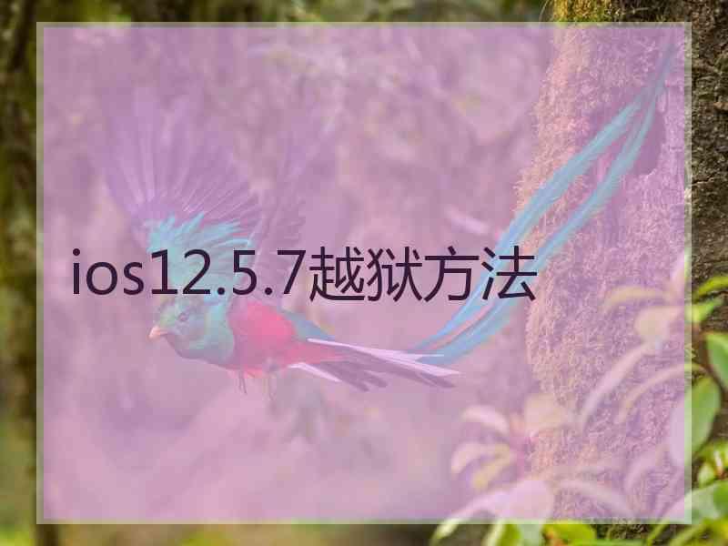 ios12.5.7越狱方法