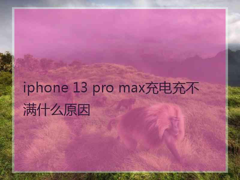 iphone 13 pro max充电充不满什么原因