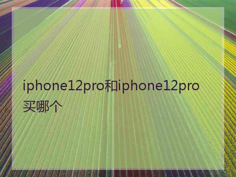 iphone12pro和iphone12pro买哪个