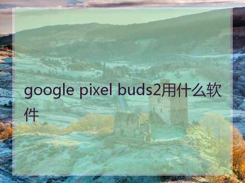 google pixel buds2用什么软件