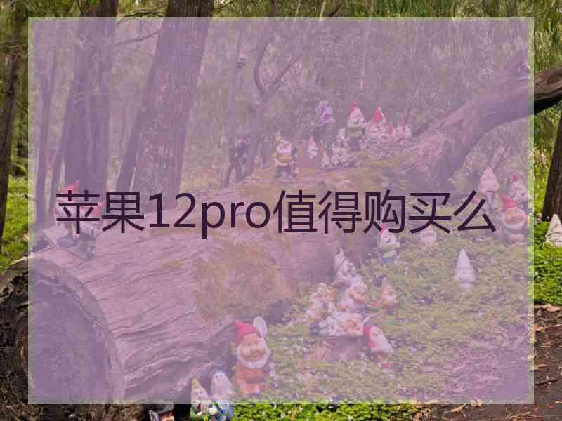 苹果12pro值得购买么